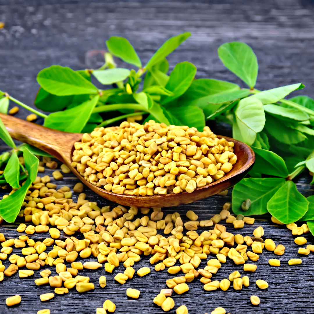 Fenugreek